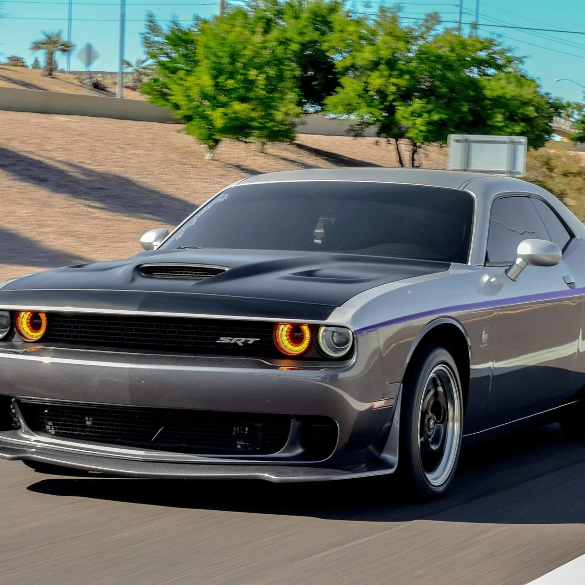 dodge-challenger-show-car-