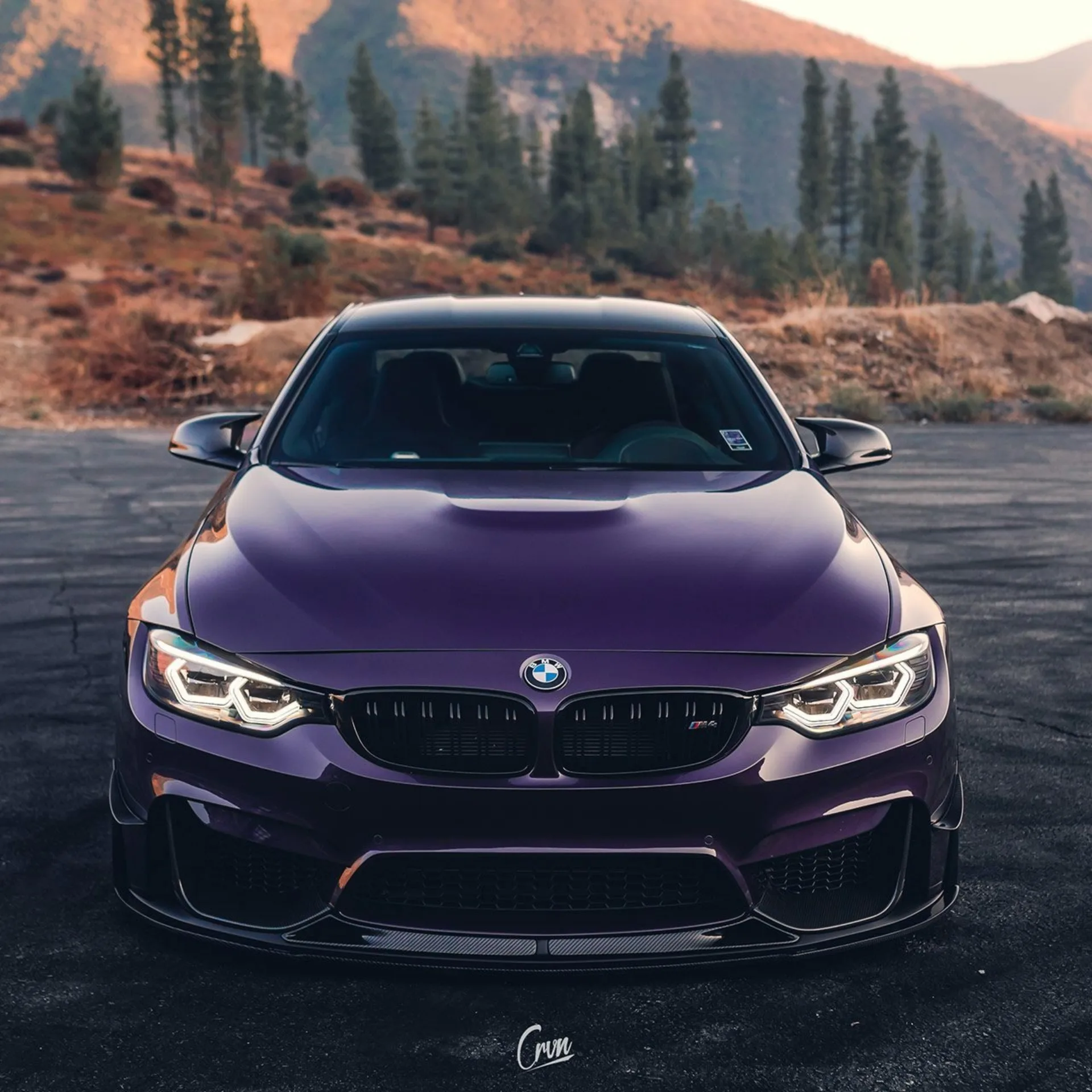 BMW m4 f82 Purple