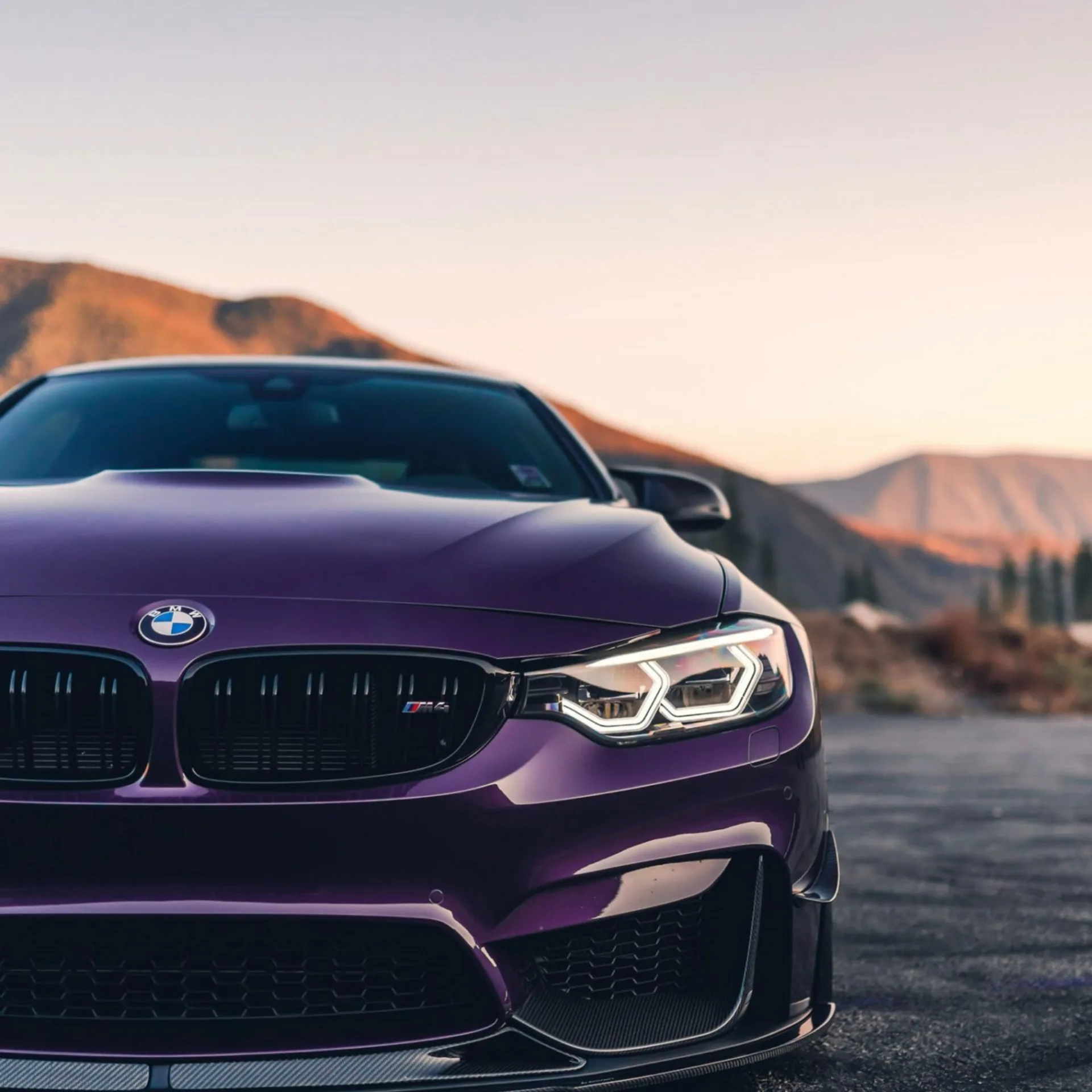 BMW m4 Violet